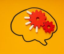 παράγοντες