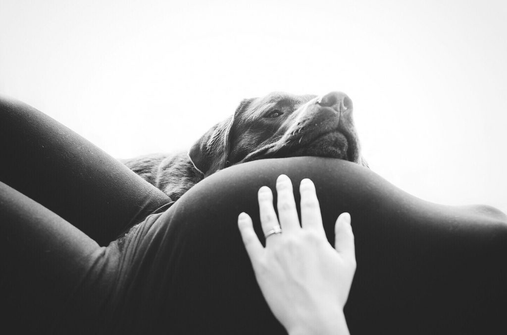 Εγκυμοσύνη και κατοικίδια ζώα