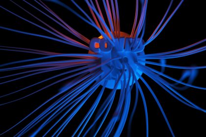 Και δεύτερη πρωτεΐνη-πύλη για την μόλυνση από κορoνοϊό