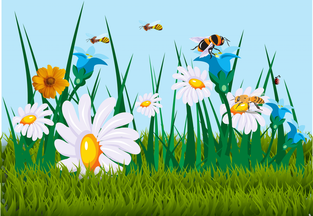 αλλεργία στη γύρη αντιμετώπιση δερμα