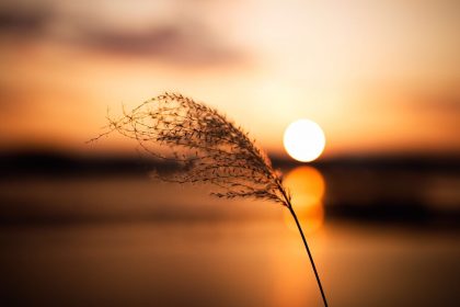 Ο ήλιος «εξουδετερώνει» τον κορoνοϊό σε μισή ώρα