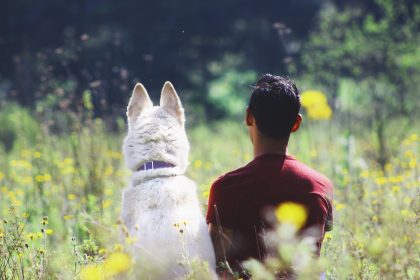 Έρευνα: Τα ζώα μπορούν να προαισθανθούν τους σεισμούς