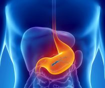 Ελικοβακτηρίδιο του πυλωρού: Τι είναι και ποιοι πρέπει να προσέχουν;