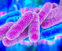 Λεγεωνάριων