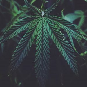 εγκυμοσύνη 