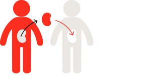 Μεταμόσχευση οργάνων