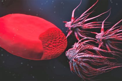 φωσφατιδυλοσερίνη