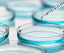 ερευνα καρκίνου