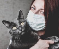 αλλεργία κατοικίδια γυναίκα με γάτα φορώντας μάσκα