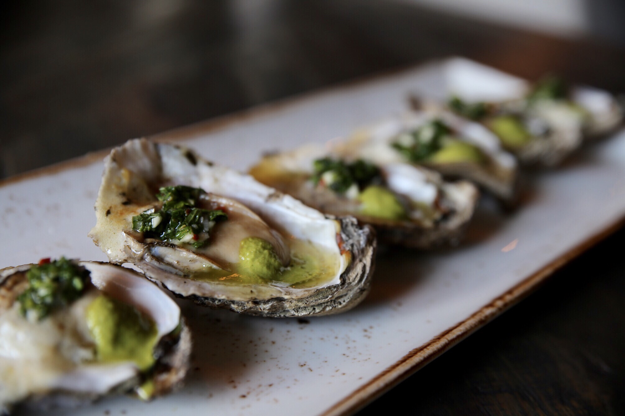 oysters