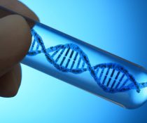 mRNA στα εμβόλια covid-19 κυτταρικές σειρές από έμβρυα