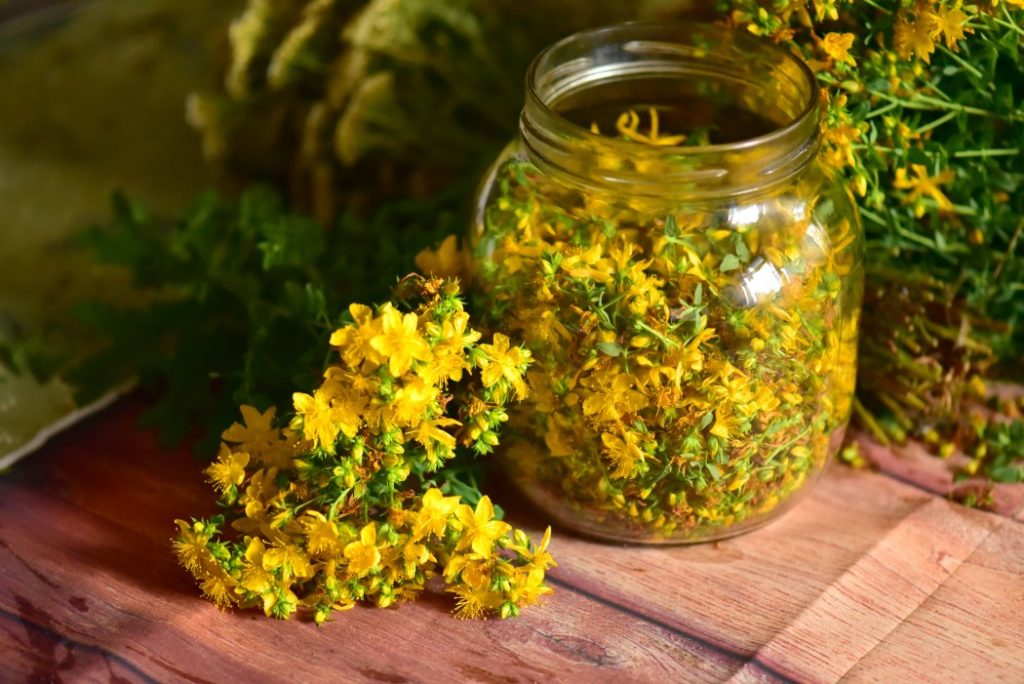 βαλσαμόχορτο