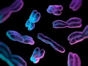 Cryo-electron tomography