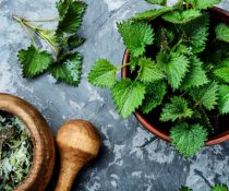 5 βότανα για τον προστάτη - Διατροφή για τα συμπτώματα της υπερπλασίας τσουνίδα