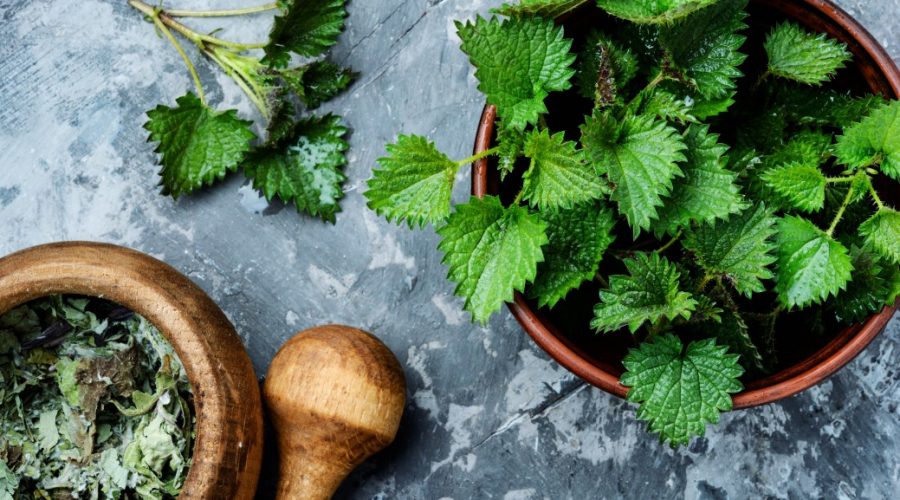 5 βότανα για τον προστάτη - Διατροφή για τα συμπτώματα της υπερπλασίας τσουνίδα