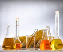 φρουκτόζη και ανοσοποιητικό σύστημα θερμίδες