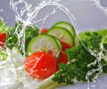 meal-gc3214c294_1920