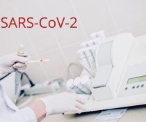 «χάρτη» του γονιδιώματος sars-cov-2