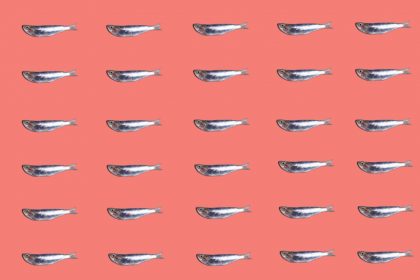 Η μεσογειακή διατροφή προστατεύει τον εγκέφαλο