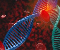 θαλασσαιμία dna αιματολογική κληρονομική διαταραχή