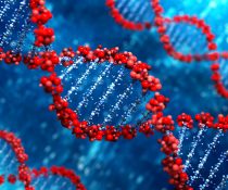 Καινοτόμα θεραπεία εγκεφαλικών όγκων με RNA
