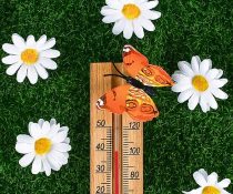 απαντήσεις για τον παρατεταμένο 11ημερο καύσωνα οδηγίες