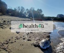Θαλάσσια χελών της Σχοινούσας νεκρή