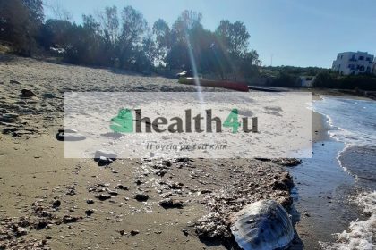 Θαλάσσια χελών της Σχοινούσας νεκρή