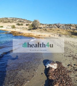 θαλάσσια χελώνα της Σχοινούσας νεκρή