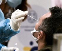 rapid tests