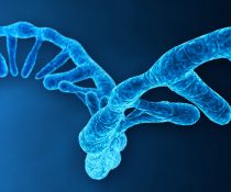 mRNA