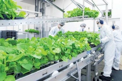 Covid-19 από φυτό του καπνού