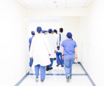 μεταμόσχευση νεφρού από χοίρο σε άνθρωπο