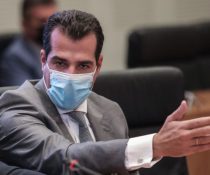 Πλεύρης