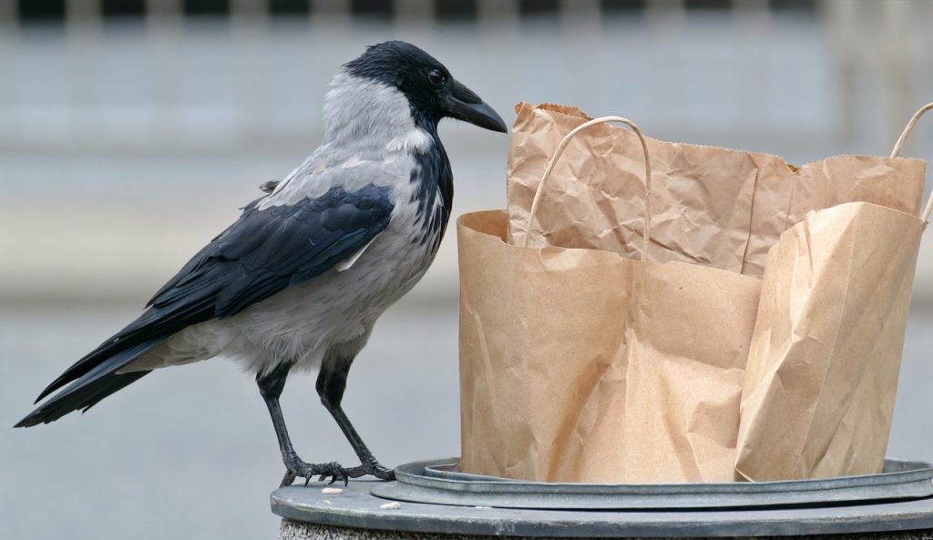Σπατάλη τροφίμων - Ποια προϊόντα πετάμε περισσότερο στα σκουπίδια;