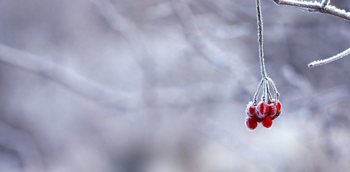 Πόσο «αθώο» είναι το κρύο για τον ανρθώπινο οργανισμό;