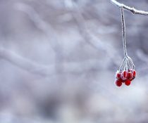 Πόσο «αθώο» είναι το κρύο για τον ανρθώπινο οργανισμό;