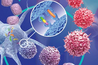 Θεραπείες για τον καρκίνο