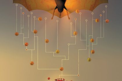 Νυχτερίδες