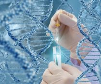 DNA