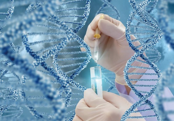 DNA
