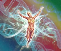 dna