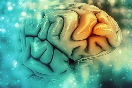 Αλτσχάιμερ: Διάγνωση με μαγνητική εγκεφάλου και τη βοήθεια της τεχνητής νοημοσύνης