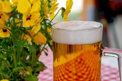 Μπύρα – Τα οφέλη στο μικροβίωμα του εντέρου