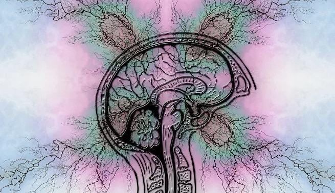 Τριχόπτωση και πρωτεΐνη