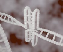 αυτισμός 70 γονίδια μεταλλάξεις dna