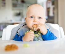 Baby – led weaning