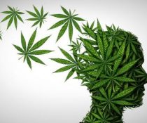CBD και αλτσχάιμερ