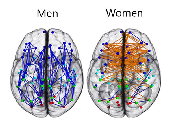 λεκτικές ικανότητες