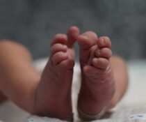 Συγγενείς καρδιοπάθειες: Για πρώτη φορά, ένα μωρό θεραπεύεται με βλαστοκύτταρα